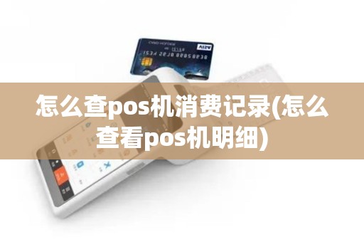 怎么查pos机消费记录(怎么查看pos机明细)