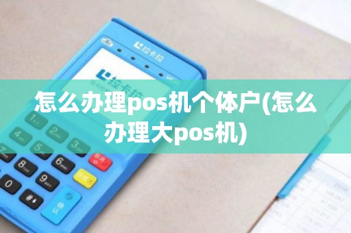 怎么办理pos机个体户(怎么办理大pos机)