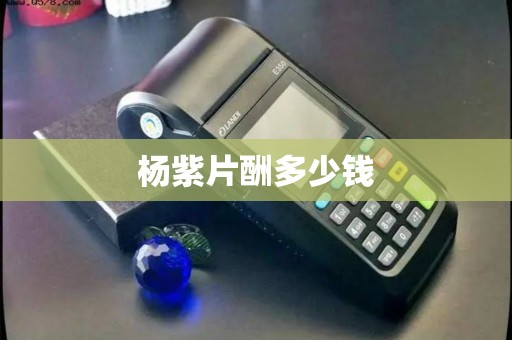 杨紫片酬多少钱