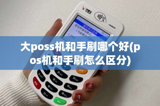 大poss机和手刷哪个好(pos机和手刷怎么区分)