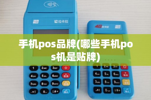 手机pos品牌(哪些手机pos机是贴牌)