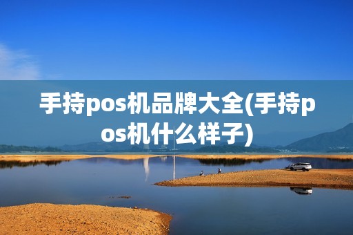 手持pos机品牌大全(手持pos机什么样子)