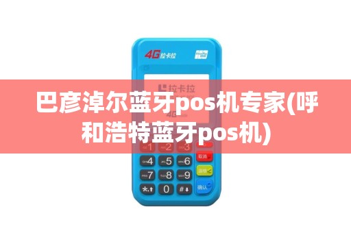 巴彦淖尔蓝牙pos机专家(呼和浩特蓝牙pos机)