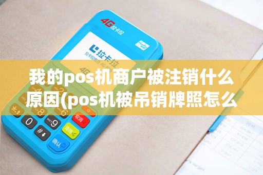 我的pos机商户被注销什么原因(pos机被吊销牌照怎么处理)
