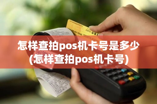 怎样查拍pos机卡号是多少(怎样查拍pos机卡号)