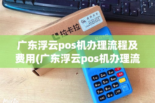 广东浮云pos机办理流程及费用(广东浮云pos机办理流程)