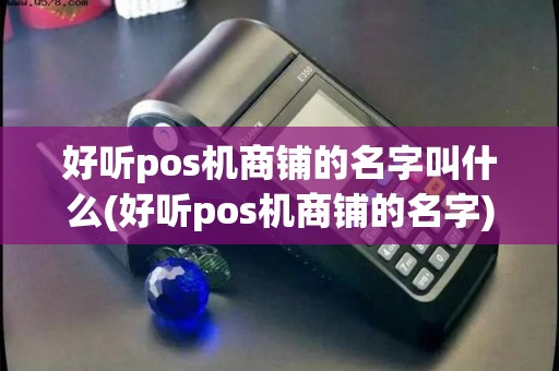 好听pos机商铺的名字叫什么(好听pos机商铺的名字)