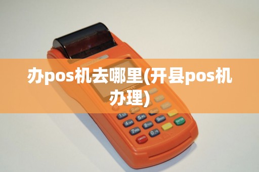 办pos机去哪里(开县pos机办理)
