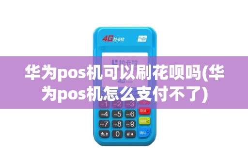 华为pos机可以刷花呗吗(华为pos机怎么支付不了)