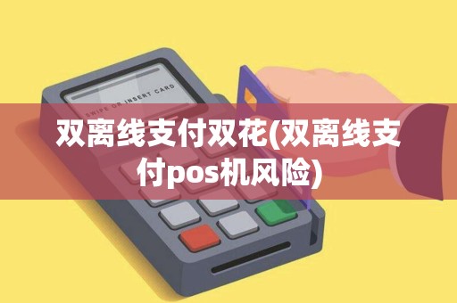 双离线支付双花(双离线支付pos机风险)