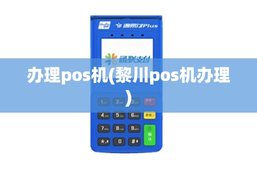 办理pos机(黎川pos机办理)