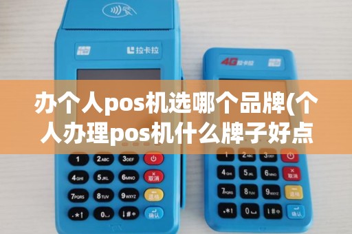 办个人pos机选哪个品牌(个人办理pos机什么牌子好点)