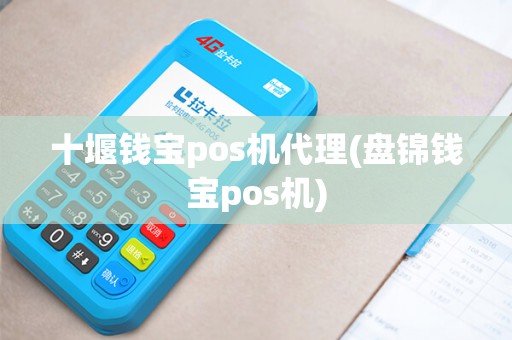 十堰钱宝pos机代理(盘锦钱宝pos机)