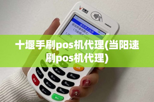 十堰手刷pos机代理(当阳速刷pos机代理)