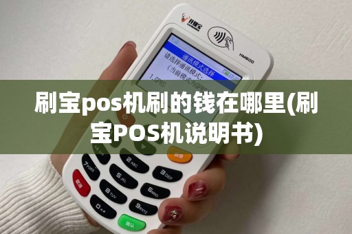 刷宝pos机刷的钱在哪里(刷宝POS机说明书)
