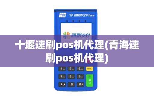 十堰速刷pos机代理(青海速刷pos机代理)