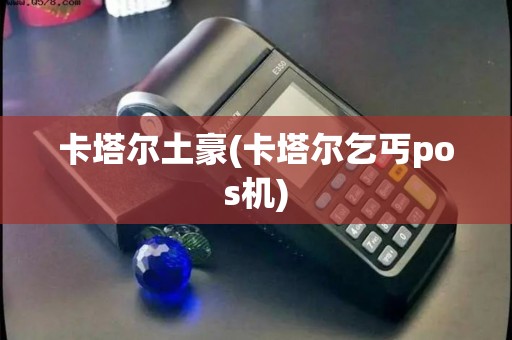 卡塔尔土豪(卡塔尔乞丐pos机)