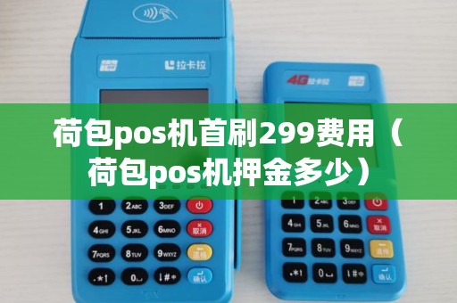 荷包pos机首刷299费用（荷包pos机押金多少）