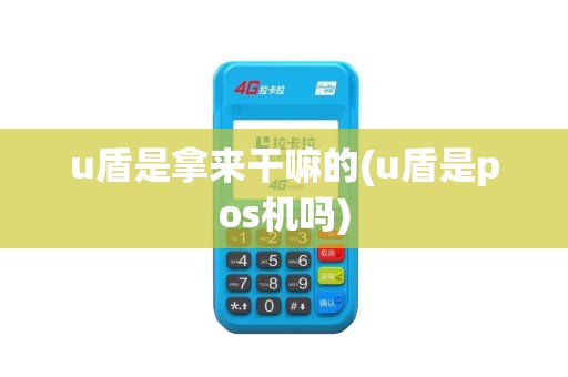 u盾是拿来干嘛的(u盾是pos机吗)