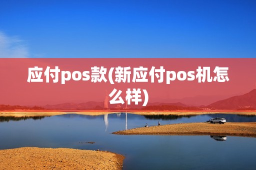 应付pos款(新应付pos机怎么样)