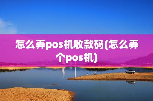 怎么弄pos机收款码(怎么弄个pos机)