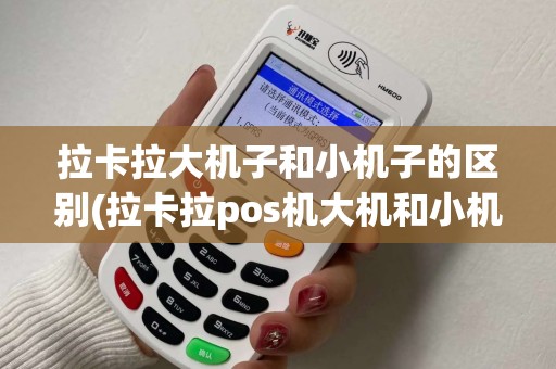拉卡拉大机子和小机子的区别(拉卡拉pos机大机和小机区别)
