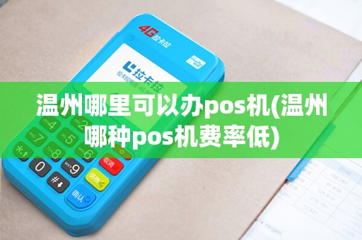 温州哪里可以办pos机(温州哪种pos机费率低)