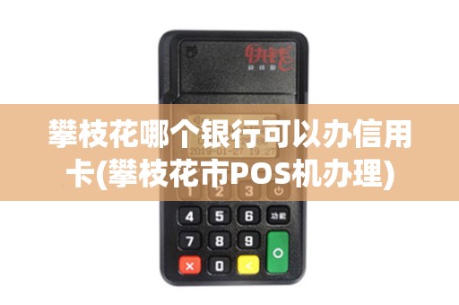 攀枝花哪个银行可以办信用卡(攀枝花市POS机办理)