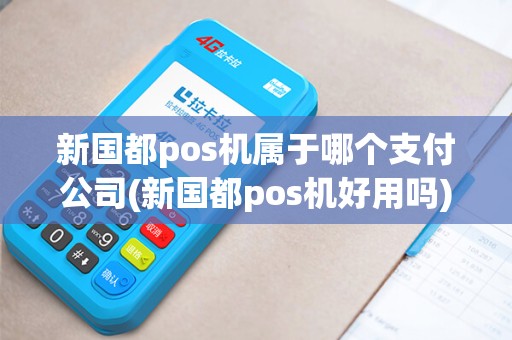 新国都pos机属于哪个支付公司(新国都pos机好用吗)