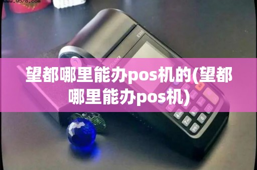 望都哪里能办pos机的(望都哪里能办pos机)