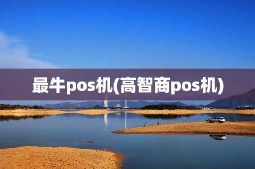 最牛pos机(高智商pos机)