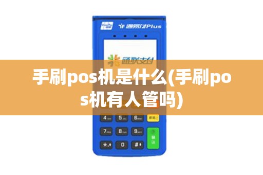 手刷pos机是什么(手刷pos机有人管吗)