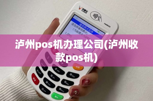 泸州pos机办理公司(泸州收款pos机)