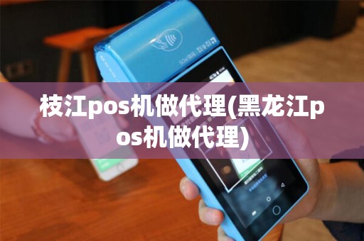 枝江pos机做代理(黑龙江pos机做代理)