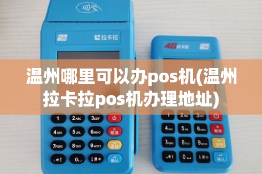 温州哪里可以办pos机(温州拉卡拉pos机办理地址)