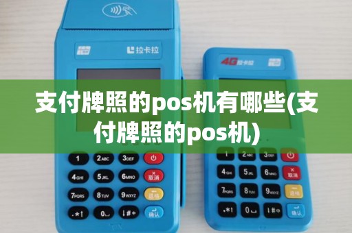 支付牌照的pos机有哪些(支付牌照的pos机)