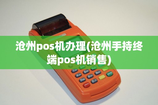 沧州pos机办理(沧州手持终端pos机销售)