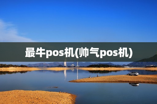 最牛pos机(帅气pos机)