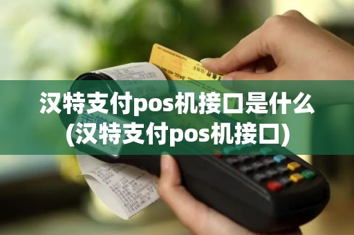 汉特支付pos机接口是什么(汉特支付pos机接口)