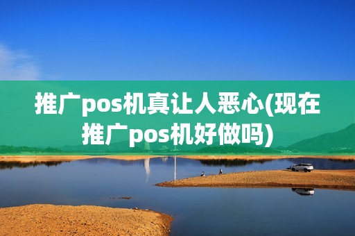 推广pos机真让人恶心(现在推广pos机好做吗)