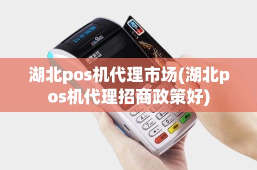 湖北pos机代理市场(湖北pos机代理招商政策好)
