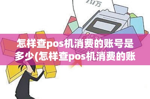 怎样查pos机消费的账号是多少(怎样查pos机消费的账号)