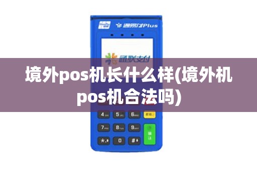 境外pos机长什么样(境外机pos机合法吗)