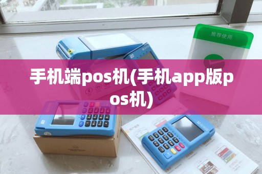 手机端pos机(手机app版pos机)