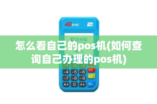 怎么看自己的pos机(如何查询自己办理的pos机)