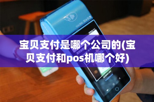 宝贝支付是哪个公司的(宝贝支付和pos机哪个好)