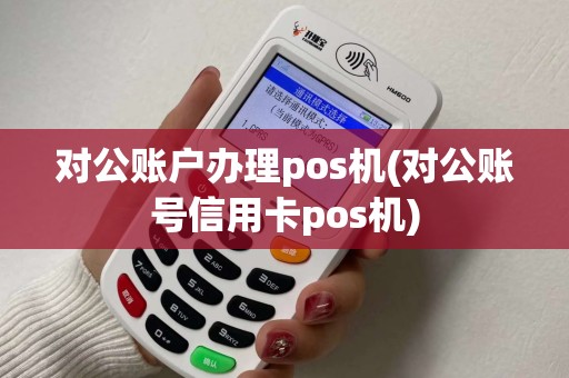 对公账户办理pos机(对公账号信用卡pos机)