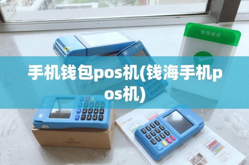 手机钱包pos机(钱海手机pos机)