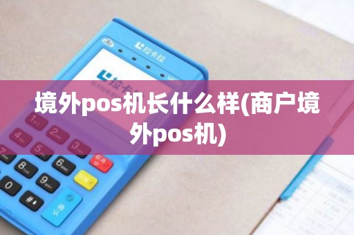 境外pos机长什么样(商户境外pos机)