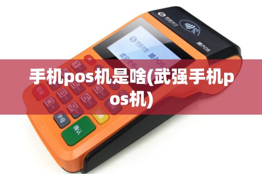 手机pos机是啥(武强手机pos机)